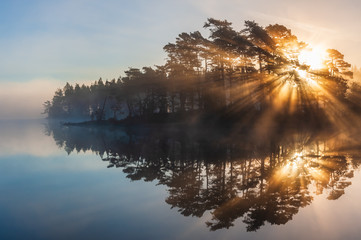 Stunning sunrise through trees and reflected on still lake © Mikael