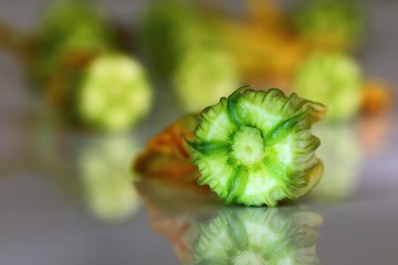 Fleur de courgette