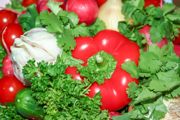 Food grown in a greenhouse garden. Seasonal vegetables.