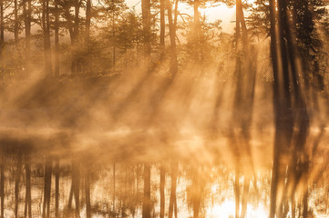 Stunning sunrise through trees and reflected on still lake