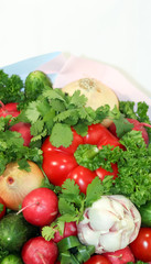 Food grown in a greenhouse garden. Seasonal vegetables.