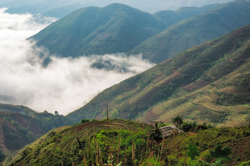 Ta Xua is a famous mountain range in northern Vietnam. All year round, the mountain rises above the clouds creating cloud inversions.