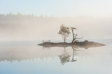 Small island with trees on a misty lake