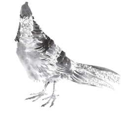 鶏　黄金金鶏　水墨画