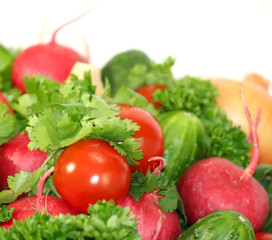 Food grown in a greenhouse garden. Seasonal vegetables.