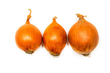 Three large onions lie in a row on a white background. Onions in macro. Different sized  onions