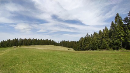 landscape in the mountains