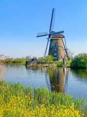 Fototapeta premium windmills in holland on a sunny day
