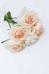 Bouquet of roses are glued to the white wall with tape. Creative concept flower.