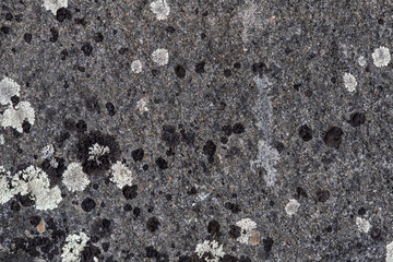 Close up view of the texture of stone with lichen on it