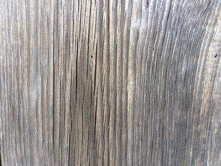 wood texture background