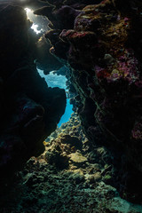red sea reef cave entrance