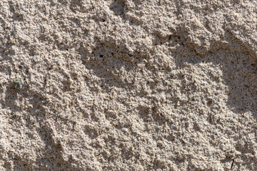 Concrete wall texture