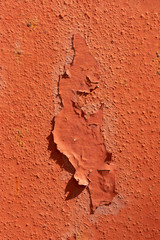 Detail of paint peeling of metal