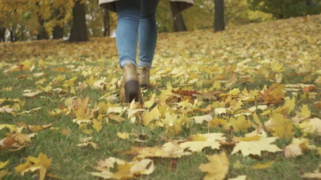 Close-up of female feet walking by autumn leaves in park