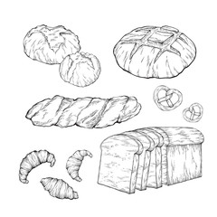 Fototapeta premium Bread set for bakery and pastry shop template.Fresh rye,whole grain and wheat bread,baguette,croissant,bun,cupcake,cookie,pretzel,roll,muffin,pita,ciabatta,bagel,toast bread.Hand drawn vector