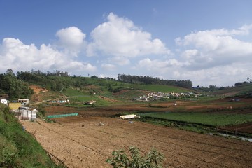 View from top of the hill