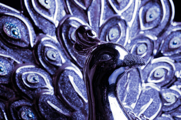 A beautiful gold peacock isolated on black background