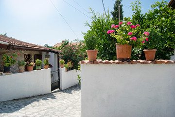 Flowering geranium bushes in clay pots on the background of a narrow stone-paved old street of the Mediterranean city