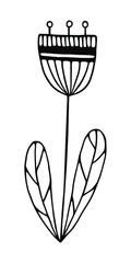 Doodle flower in scandi style. Illustration in doodle style for wedding decoration, card, greeting, print and other floral vintage design.