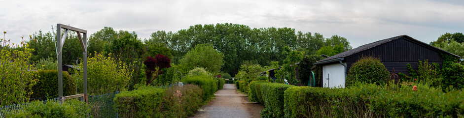 Fototapeta na wymiar path in a allotment garden, hedges left and right on the path