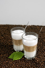 Kaffeebohnen, frisch, aromatisch Kaffee, latte macchiato, Milchschaum