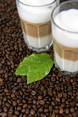 Kaffeebohnen, frisch, aromatisch Kaffee, latte macchiato, Milchschaum