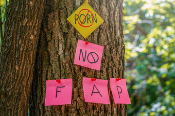 on tree bark stickers with NO PORN inscription