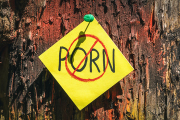 on tree bark stickers with NO PORN inscription