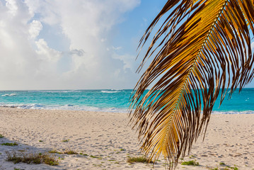 Fototapeta na wymiar Tropical caribbean seascape