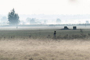 Obraz na płótnie Canvas foggy morning in the morning