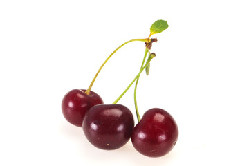 Sweet ripe cherry with leaves