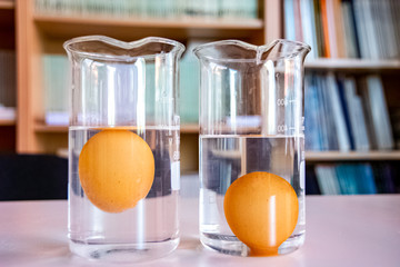 Beaker with pure water and egg sank inside and beaker with salt water and egg floating inside