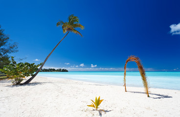 Palm Leaf Arch At Beach, Antigua