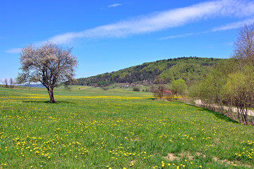 Amazing spring landscape of Low Beskids (Beskid Niski), Poland