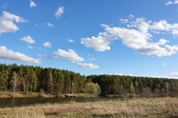Obraz premium Forest and lake. Beautiful landscape of central Russia. Moscow region
