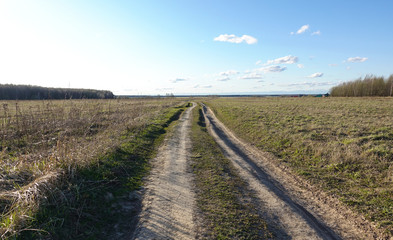 Fototapeta na wymiar Rural dirt road through the field. Blue sky with clouds