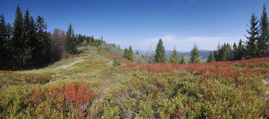 Panorama Gorce - Masyw Kudłonia polana pod Jaworzynką wiosna