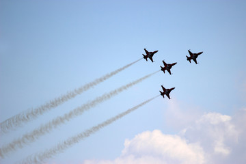  Military aircraft during the flight © moniadk