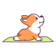 Cute dog yoga