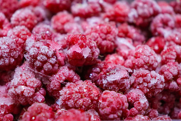 frozen red raspberries background