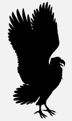 Eagle spread its wings preparing to fly. Black vector silhouette of a hunting bird of prey.