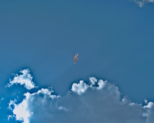 landscape photograph of a kite flying in the blue sky with white clouds