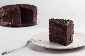 Portion of homemade chocolate cake