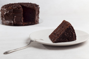 Portion of homemade chocolate cake