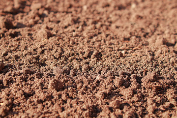Fertile land in the garden. Close-up. Horizontal perspective view. Background. Texture.