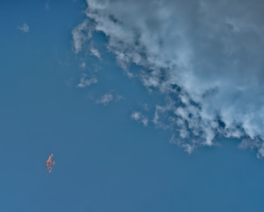 landscape photograph of a kite flying in the blue sky with white clouds