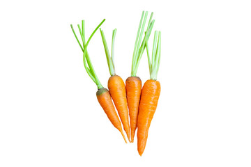 Carrot isolated on white background with clipping path.