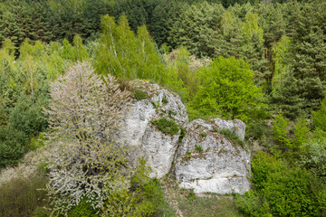 widok na skały z lotu ptaka © Mariusz Sowula