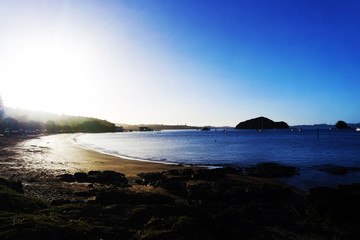 Bay
